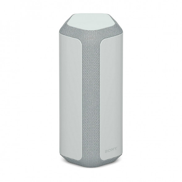 Портативная колонка Sony SRS-XE300, Light Gray в Нижнем Новгороде