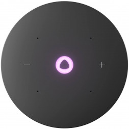 Умная колонка Яндекс Станция Мини 3 Про с Алисой с Zigbee, серый