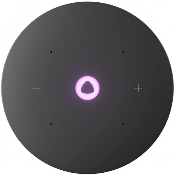 Умная колонка Яндекс Станция Мини 3 Про с Алисой с Zigbee, серый в Нижнем Новгороде