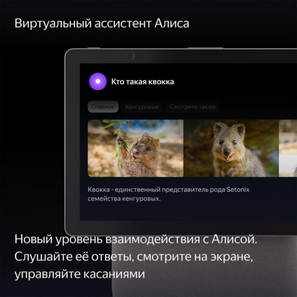 Яндекс Станция Дуо Макс с Алисой, с Zigbee, 60 Вт, бежевый в Нижнем Новгороде