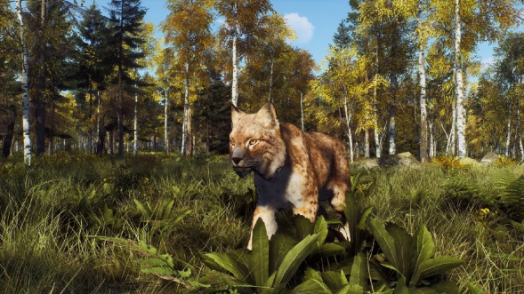 Игра Way of the Hunter: Wild Expeditions [PS5, русские субтитры] в Нижнем Новгороде