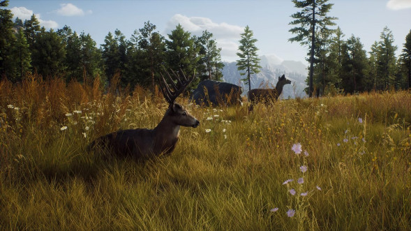 Игра Way of the Hunter [PS5, русские субтитры] в Нижнем Новгороде