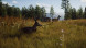 Игра Way of the Hunter [PS5, русские субтитры] в Нижнем Новгороде