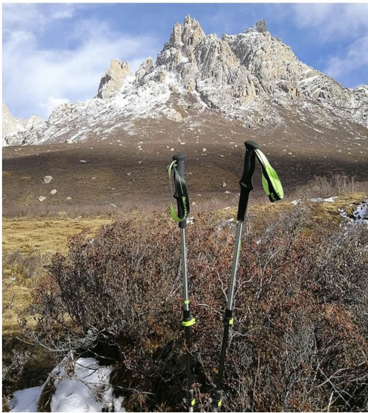 Треккинговая палка Naturehike 135 см, 1 шт., черный/красный в Нижнем Новгороде