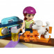 Конструктор LEGO Friends 41099 Скейт-парк в Нижнем Новгороде