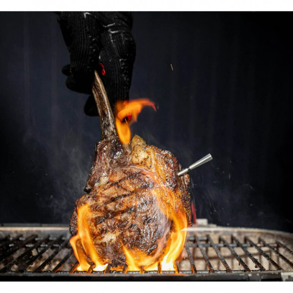 Термометр щуп для мяса MEATER 2 Plus (MT-MP201) в Нижнем Новгороде