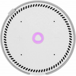 Умная колонка Яндекс Станция Мини (без часов), cерый опал