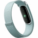 Фитнес-браслет Google Fitbit Air (Серо-голубой/Fog) в Нижнем Новгороде