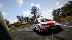 Игра WRC 10 The Official Game [PS4, русские субтитры]