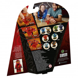 Конструктор LEGO Ninjago 70659 Кай мастер Кружитцу