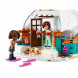 Конструктор LEGO Friends 41760 Праздничное приключение в иглу в Нижнем Новгороде