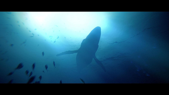 Игра Under The Waves [PS4, русские субтитры] в Нижнем Новгороде