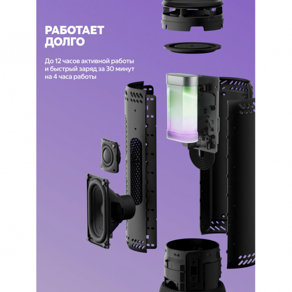 Умная портативная колонка Яндекс Станция Стрит с Алисой, черный в Нижнем Новгороде