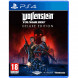 Игра Wolfenstein Youngblood Deluxe Edition [PS4, русская версия] в Нижнем Новгороде