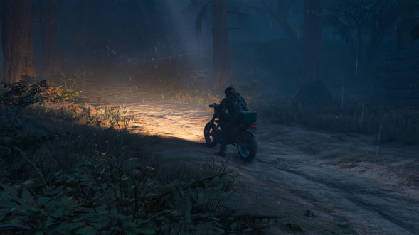 Игра Жизнь После (Days Gone) [PS4, русская версия] в Нижнем Новгороде