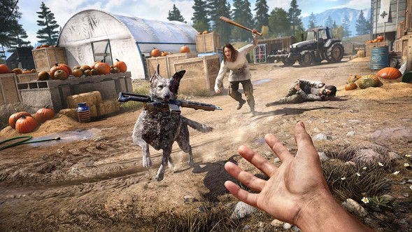 Игра Far Cry 5 [PS4, русская версия] в Нижнем Новгороде